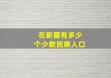 在新疆有多少个少数民族人口