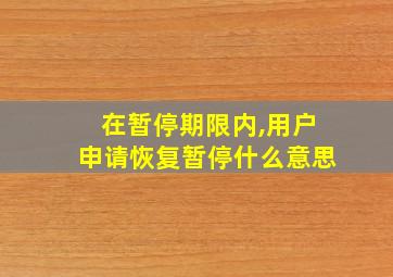 在暂停期限内,用户申请恢复暂停什么意思