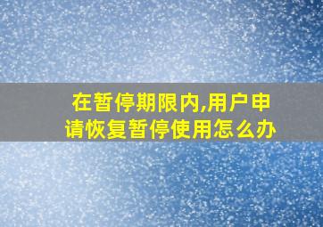 在暂停期限内,用户申请恢复暂停使用怎么办