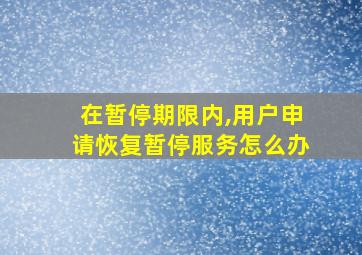 在暂停期限内,用户申请恢复暂停服务怎么办