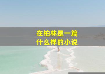 在柏林是一篇什么样的小说