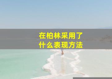 在柏林采用了什么表现方法