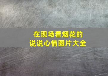 在现场看烟花的说说心情图片大全