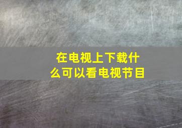 在电视上下载什么可以看电视节目