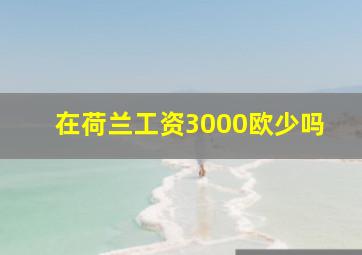 在荷兰工资3000欧少吗