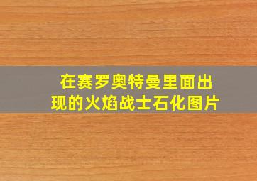 在赛罗奥特曼里面出现的火焰战士石化图片