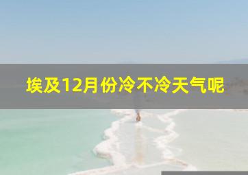 埃及12月份冷不冷天气呢