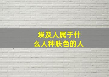 埃及人属于什么人种肤色的人