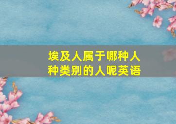 埃及人属于哪种人种类别的人呢英语