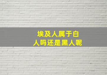 埃及人属于白人吗还是黑人呢