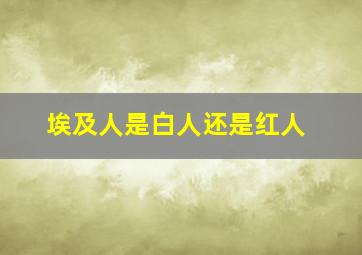 埃及人是白人还是红人