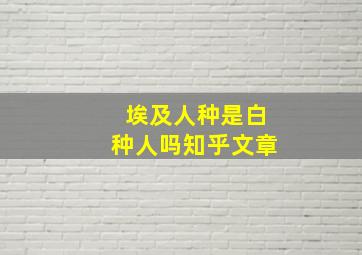 埃及人种是白种人吗知乎文章