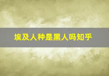 埃及人种是黑人吗知乎