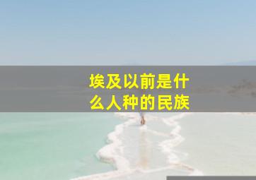 埃及以前是什么人种的民族