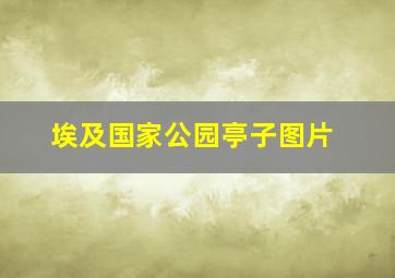 埃及国家公园亭子图片