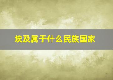 埃及属于什么民族国家