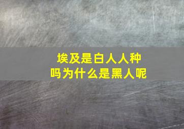 埃及是白人人种吗为什么是黑人呢