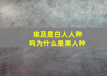 埃及是白人人种吗为什么是黑人种