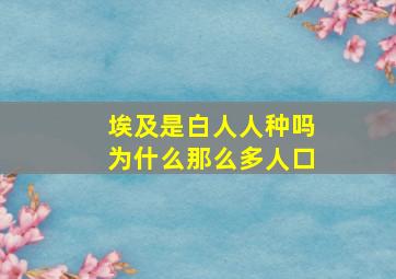 埃及是白人人种吗为什么那么多人口