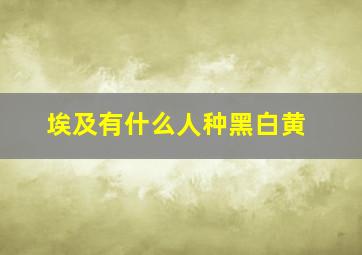 埃及有什么人种黑白黄