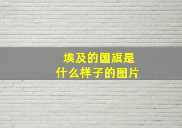 埃及的国旗是什么样子的图片