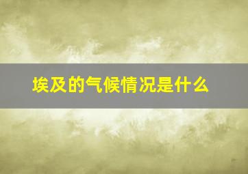 埃及的气候情况是什么