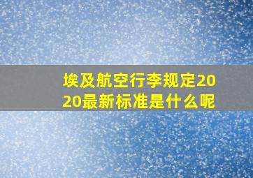 埃及航空行李规定2020最新标准是什么呢