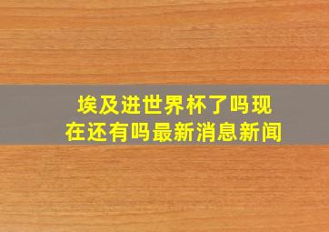 埃及进世界杯了吗现在还有吗最新消息新闻