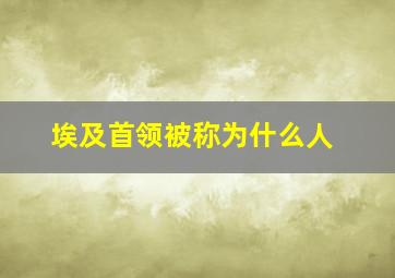 埃及首领被称为什么人