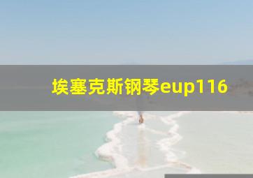 埃塞克斯钢琴eup116