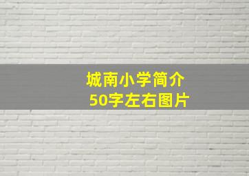 城南小学简介50字左右图片