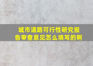 城市道路可行性研究报告审查意见怎么填写的啊