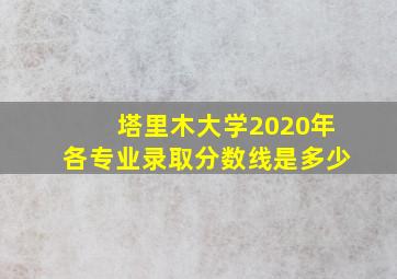 塔里木大学2020年各专业录取分数线是多少