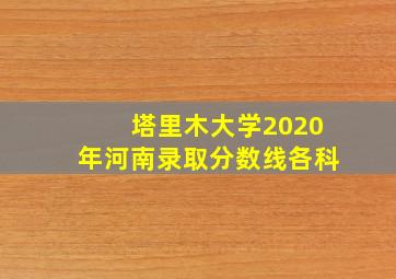 塔里木大学2020年河南录取分数线各科