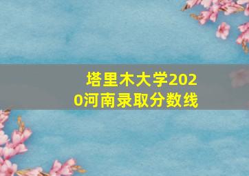 塔里木大学2020河南录取分数线