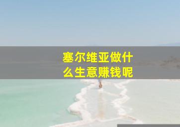 塞尔维亚做什么生意赚钱呢