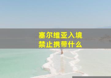 塞尔维亚入境禁止携带什么