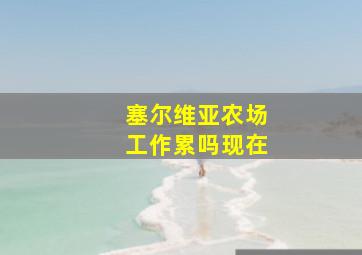 塞尔维亚农场工作累吗现在