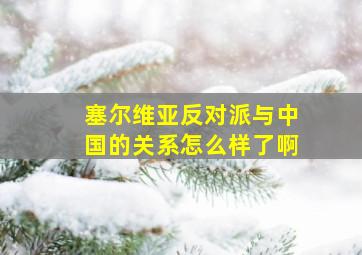 塞尔维亚反对派与中国的关系怎么样了啊