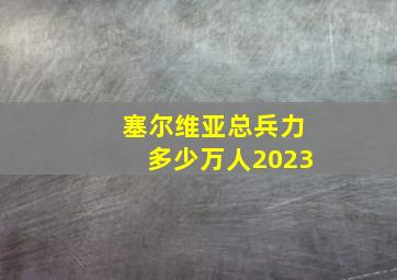 塞尔维亚总兵力多少万人2023