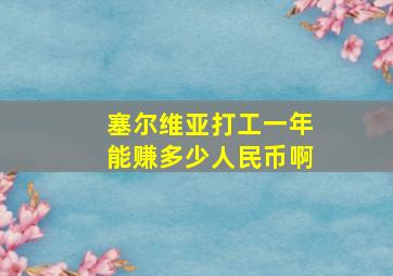 塞尔维亚打工一年能赚多少人民币啊