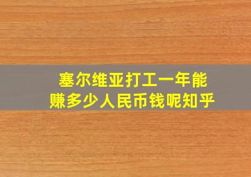 塞尔维亚打工一年能赚多少人民币钱呢知乎