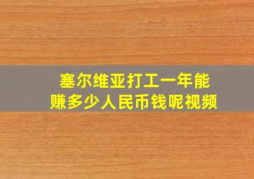 塞尔维亚打工一年能赚多少人民币钱呢视频