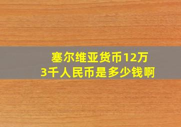 塞尔维亚货币12万3千人民币是多少钱啊