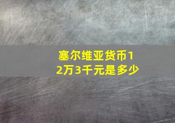 塞尔维亚货币12万3千元是多少