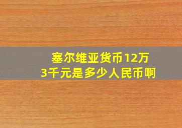 塞尔维亚货币12万3千元是多少人民币啊