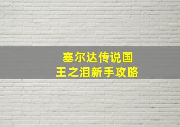 塞尔达传说国王之泪新手攻略