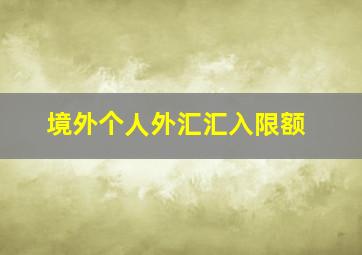 境外个人外汇汇入限额