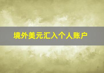 境外美元汇入个人账户