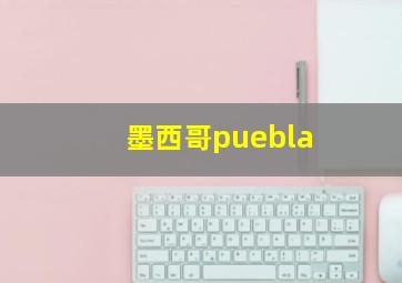 墨西哥puebla